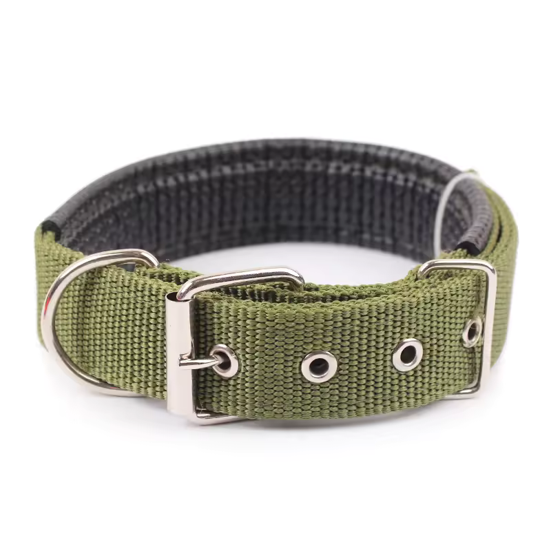 Collar clásico de nailon para perros