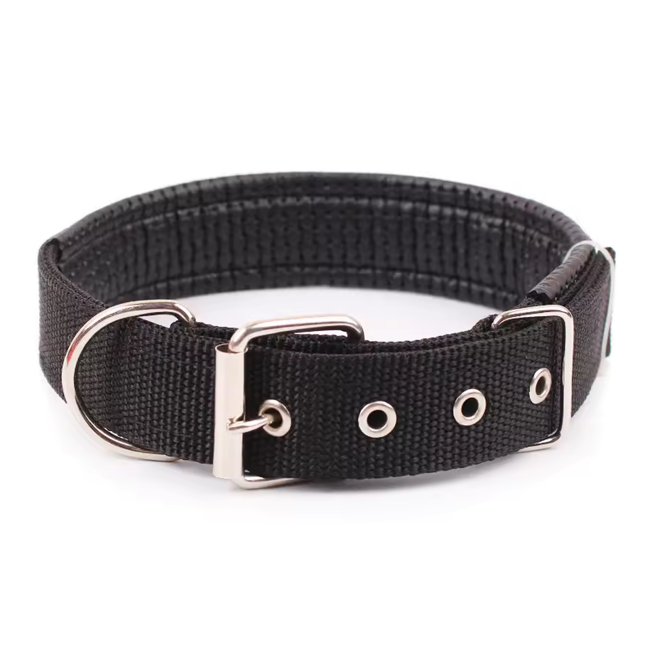 Collar clásico de nailon para perros