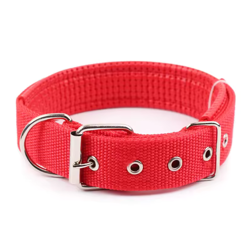 Collar clásico de nailon para perros