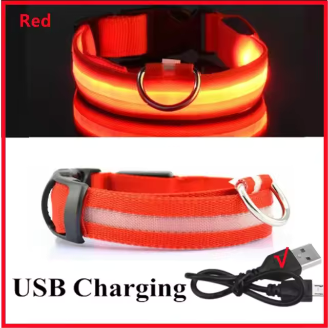 Collar LED para perros