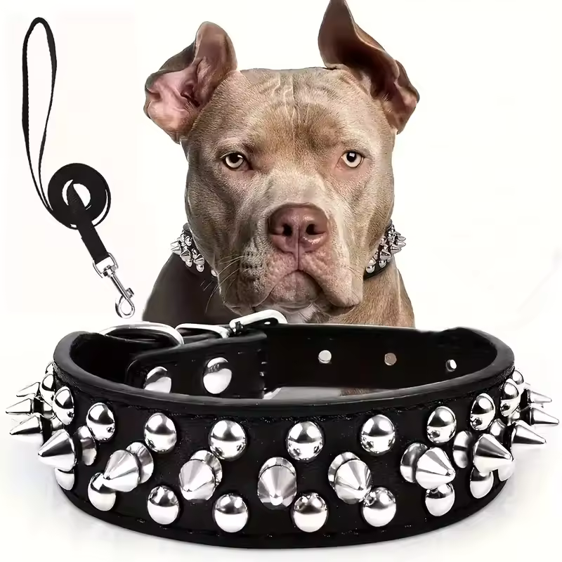 Collar de cuero con púas para perros
