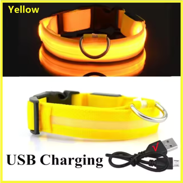 Collar LED para perros