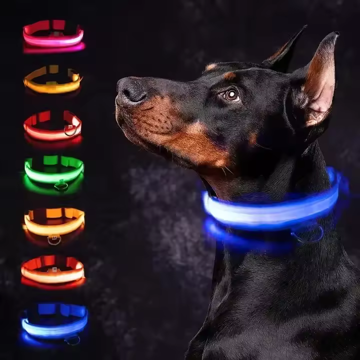Collar LED para perros