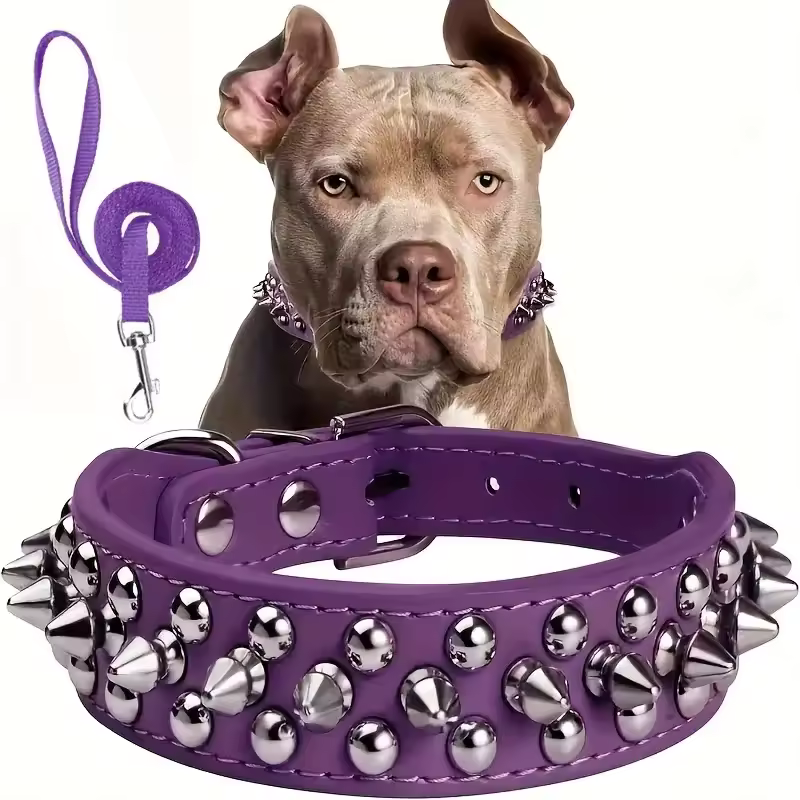 Collar de cuero con púas para perros