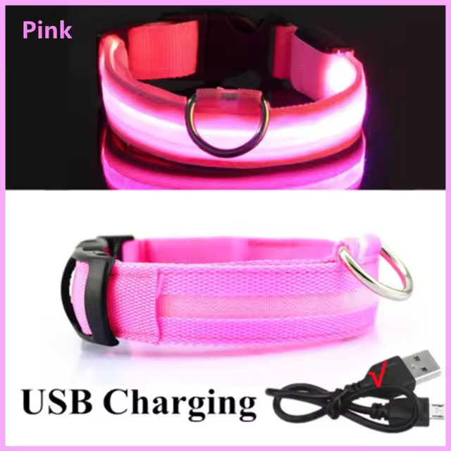 Collar LED para perros