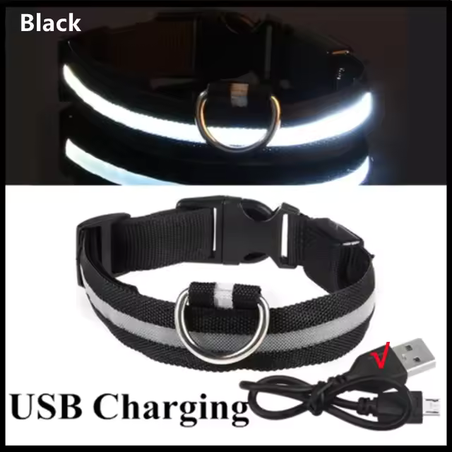 Collar LED para perros