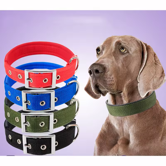 Collar clásico de nailon para perros
