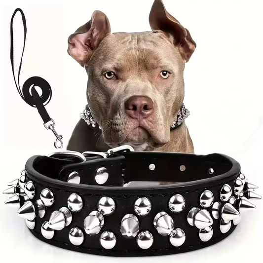 Collar de cuero con púas para perros