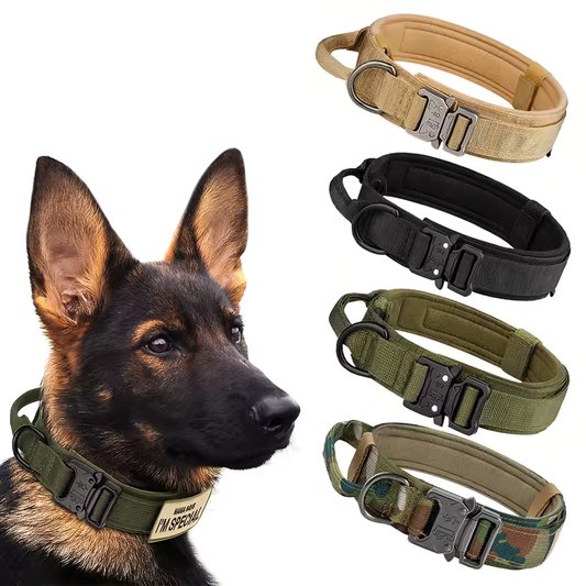 Collar táctico de adiestramiento para perros™