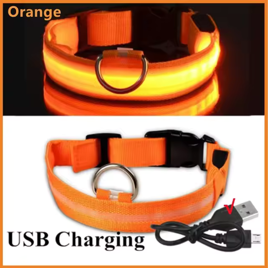 Collar LED para perros