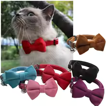 Collar para gato con pajarita de terciopelo